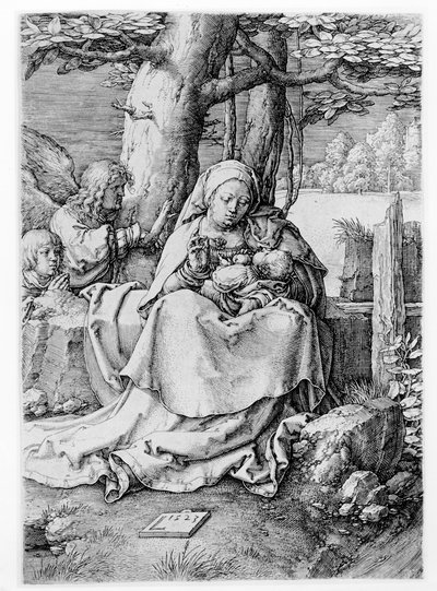 The Virgin and Child in a Landscape by Lucas van Leyden